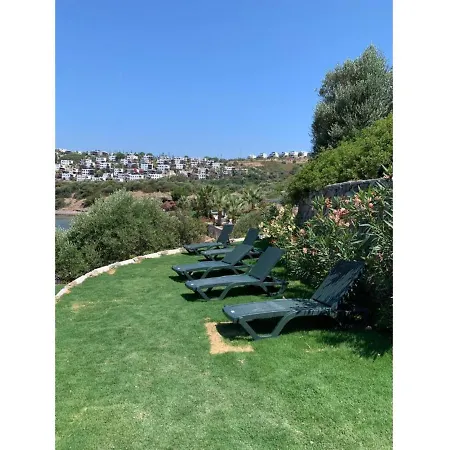 Villa Villas *