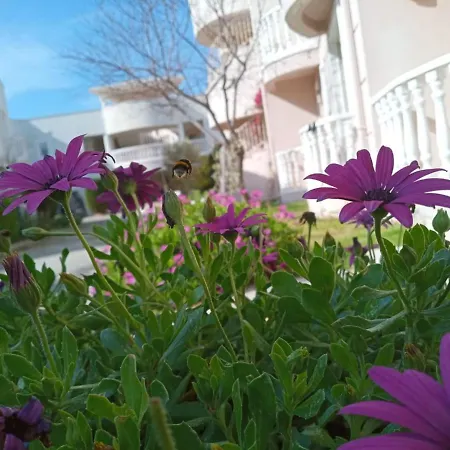 Villas Villa Milas